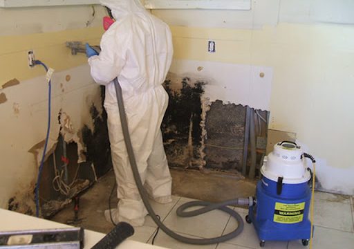 Mold Remediation 6